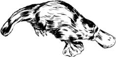Platypus