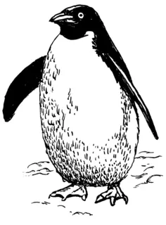 Walking penguin