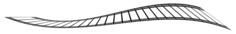 Film strip