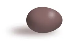 Brown egg