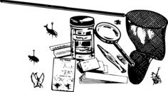 Bug collection kit