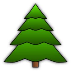 Evergreen tree image