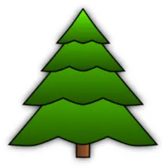 Evergreen tree image