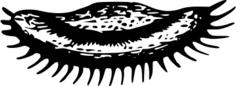 Microscopic worm