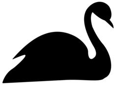 Black swan silhouette