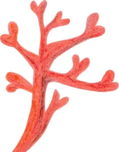 Red coral