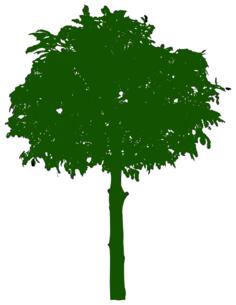 Green tree icon