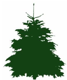 Green tree silhouette