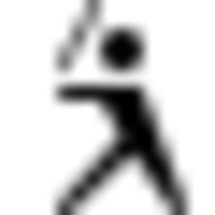Baseball icon