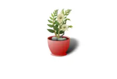 White flower pot