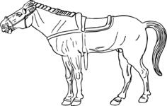 Simple horse illustration