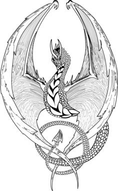 Dragon drawing
