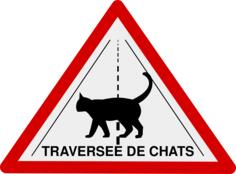 Cat crossing