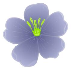 Western blue flax