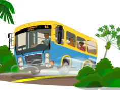 Island school bus
