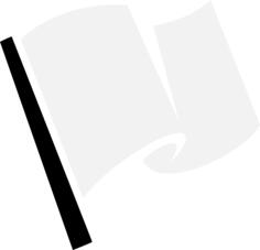 White motor race flag
