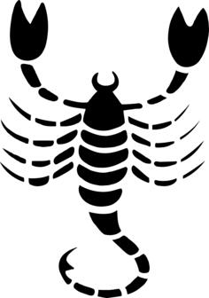 Scorpio drawing