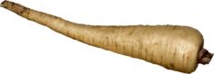 Parsnip image