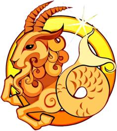 Yellow capricorn image