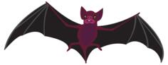 Purple bat