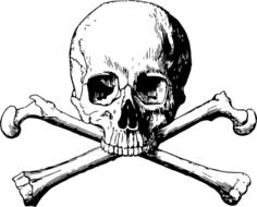 Skull and cross bones