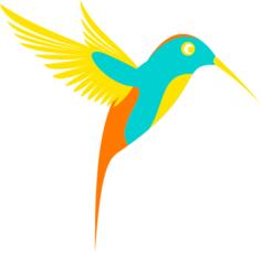 Colorful colibri