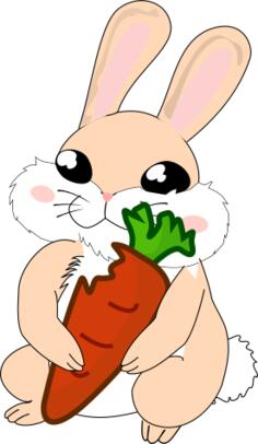 Bunny and carrot