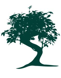 Bonsai silhouette