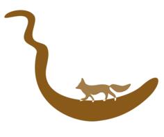 Fox silhouette image