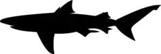 Shark silhouette