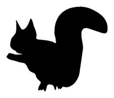 Squirrel silhouette image