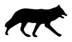 Fox silhouette