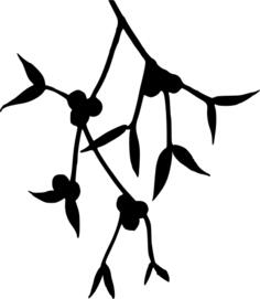 Mistletoe silhouette