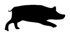 Pig silhouette
