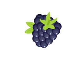Blackberry fruit