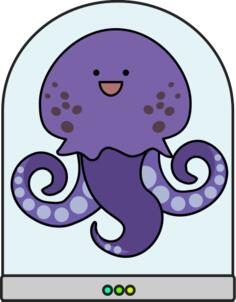 Squid in tank