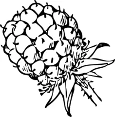 Blackberry fruit clip art