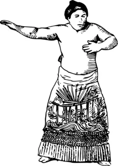 Sumo fighter image