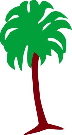 Palm tree image