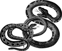 Vintage snakes