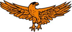 Golden eagle image