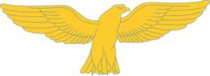 Golden goshawk