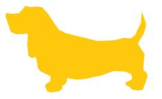 Yellow dog image