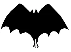 Bat silhouette
