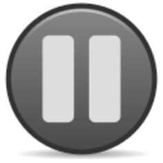 Paused emblem icon