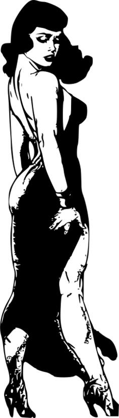Beautiful pin up lady