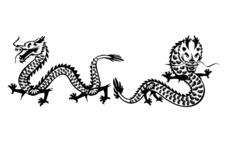 Two dragons