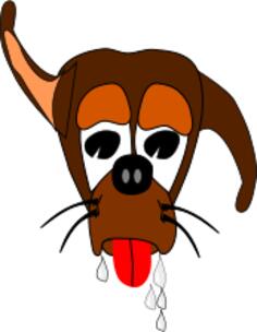 Salivating dog