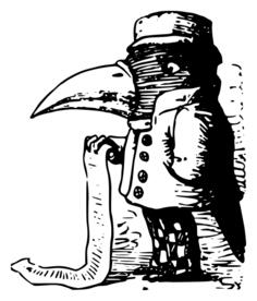 Sad crow