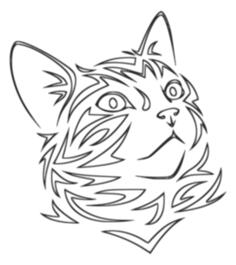 Kitten tattoo